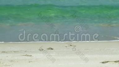 沙滩上的海浪。 慢动作。 天堂海滩上<strong>一波</strong>又<strong>一波</strong>透明的海水近在咫尺。
